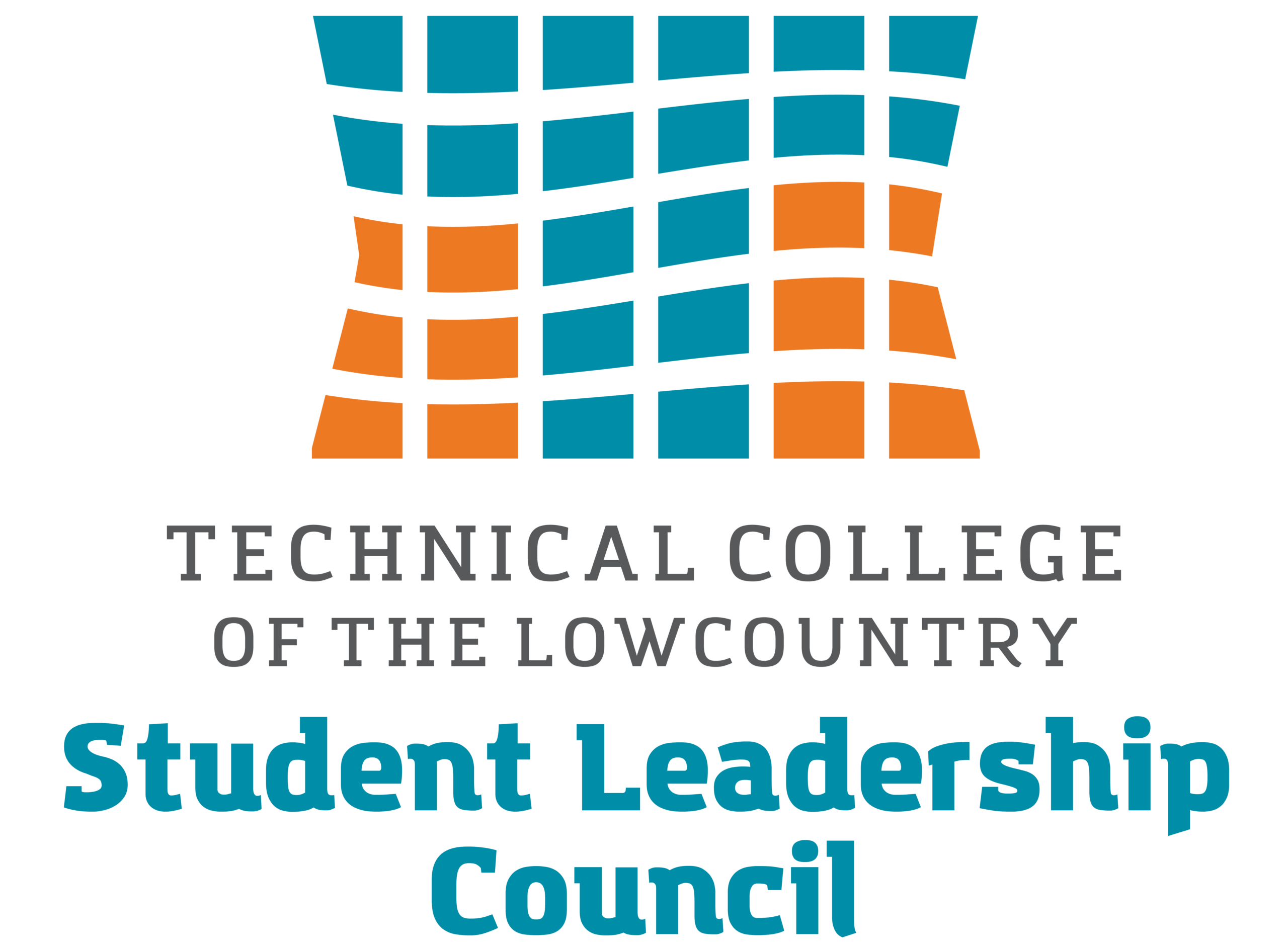 Student Leadership Council (SLC)